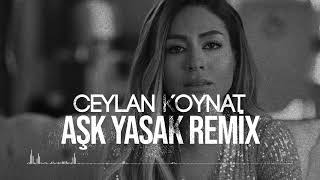 Ceylan Koynat - Aşk Yasak Onur Colak Remix 