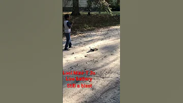 Losi Mini T 2 0 Brushless It S A Awesome Rc 