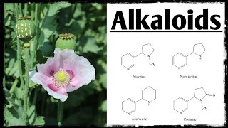 Alkaloids || Forensic Chemical Sciences || Scientific Officer Classes