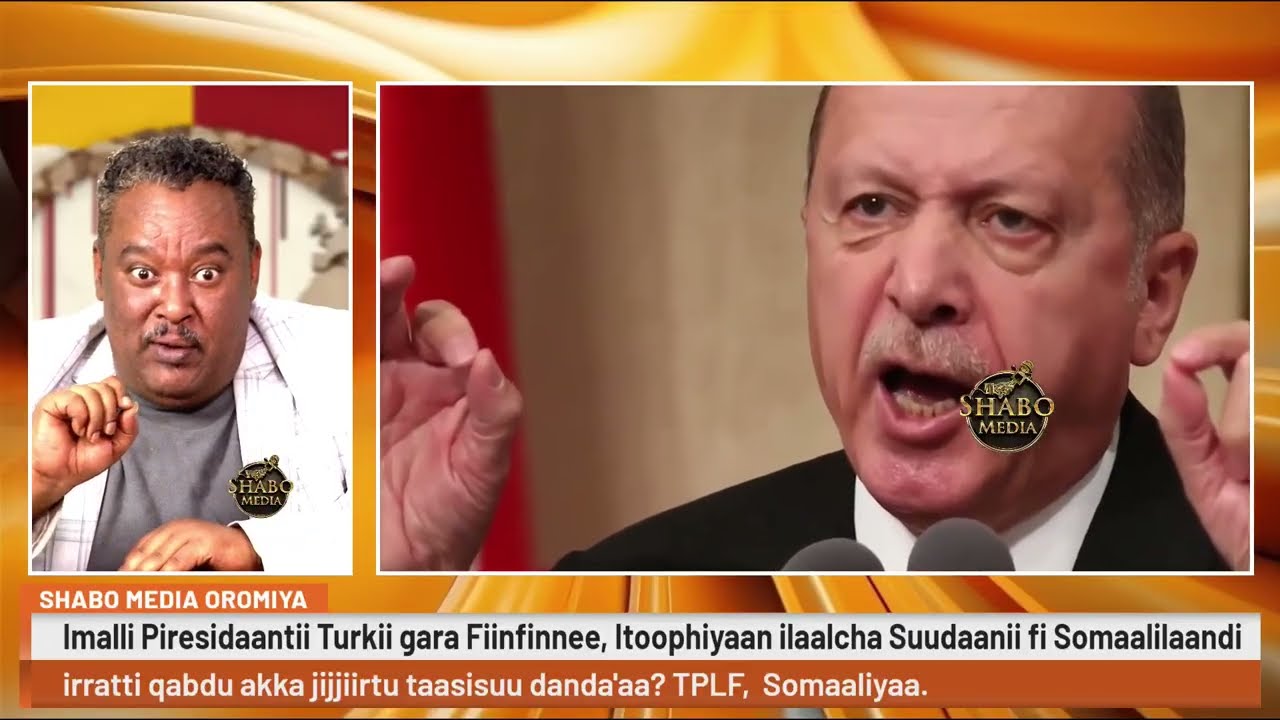 Imalli Piresidaantii Turkii gara Fiinfinnee, Itoophiyaan ilaalcha Suudaanii fi Somaalilaandi