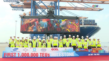 Cảng Gemalink đánh dấu 1 triệu TEU sau một năm đi vào hoạt động | BRTgo