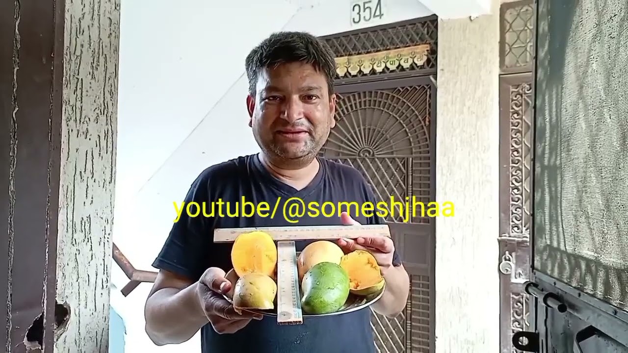Amrapali mango आम्रपाली आम Amrapalli aam मैंगो KAIRY कैरी