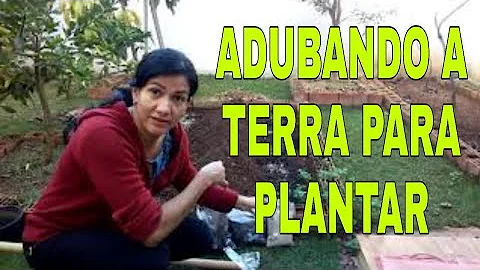 Como adubar a terra para plantar horta?