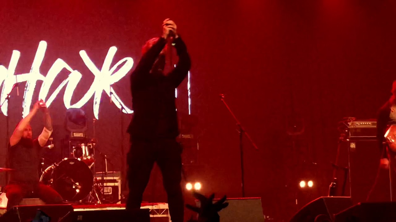 Котик аффинаж