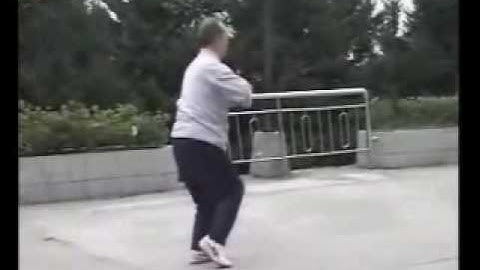 Chen Style Tai Chi First Routine--Ma Hong:part 2