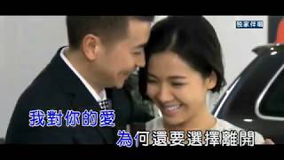 伤了心的女人怎么了 - 刘涛