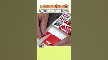 Lưỡi cưa làm bằng giấy lợi hại như thế nào ? I Why