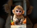 This Animal Becomes Unstoppable… Final Form Revealed!