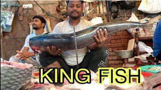 BIG SURMAI FISH short video KING FISH |