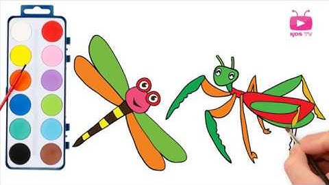 Cute animal draw / Dragonfly and Mantis Coloring Pages