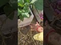 हमारे पास समय बहुत है बस जरूरत है तो उसे सही से इस्तेमाल करने की 💯