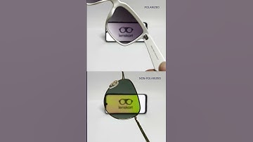 How To Find If You Have Polarized Or Non Polarized Glasses | #Shorts | #Lenskart