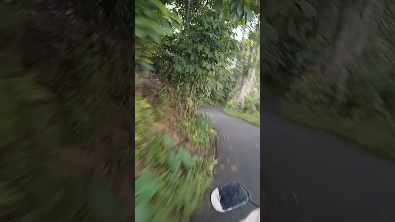 KUMPULAN LAGU DANGDUT 80AN