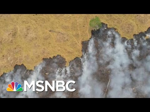 Brazilian Warplanes Dump Water On Amazon Wildfires | Morning Joe | MSNBC