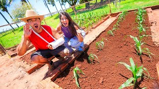 Renato Ficou Impressionado Com Minha Plantação De Milho