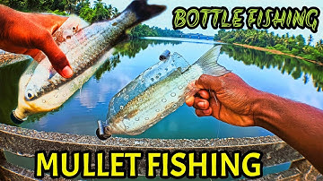 Bottle fishing techniques | Mullet fishing | How To Catch Mullet Fish:Bottle fishing | Fishing tips
