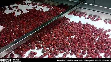 Strawberry sorting machine Opus - TOMRA Sorting