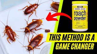 How to Use Boric Acid to Get Rid of Roaches Overnight 😱
