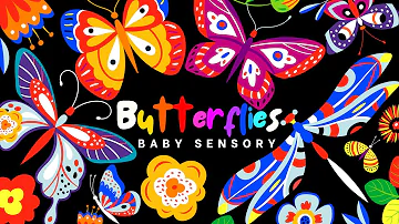 Fluttering Butterflies: Sensory Delight with Fun Dance Music - Eye-Tracking Autism Sensory Video