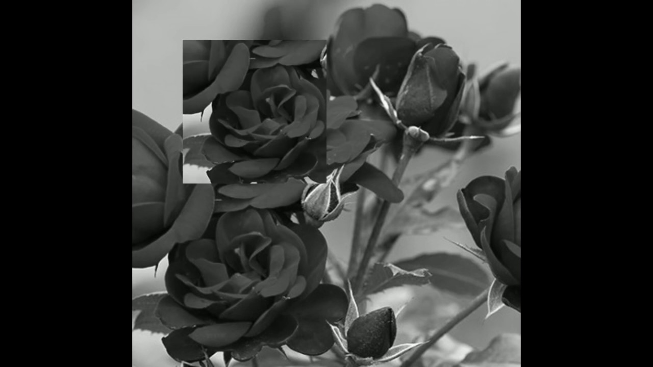 (BHZ) Longus Mongus, Dead Dawg `LOVE MOVEMENT` Type Instrumental 2019