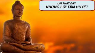 Những Lời Tâm Huyết_Những Lời Phật Dạy