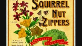Squirrel Nut Zippers - The Suits Are Picking Up The Bill chords