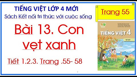 Bài 13. Con vẹt xanh  Tiếng Việt 4 tập 1 Kết nối tri thức trang 55