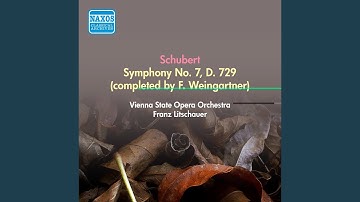 I. Adagio ma non troppo - Allegro