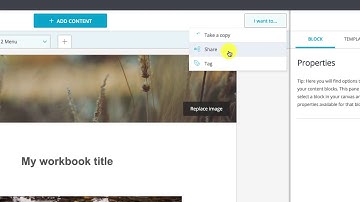 PebblePad: Collaborating on Workbooks