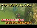 ゼルダの伝説ティアーズオブザキングダム　ツルギダケの集め方は？　素材集め効率のいい集め方　＃４２２　【ティアキン】