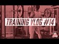 Training VLOG #14 Problems with the Novice Program, Older Lifters, and More!