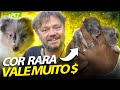 OS FILHOTES RAROS QUE VALEM MUITO MAIS DINHEIRO! | RICHARD RASMUSSEN