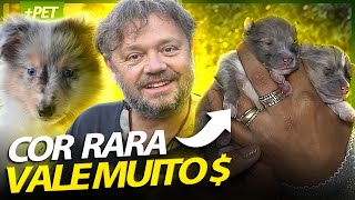 OS FILHOTES RAROS QUE VALEM MUITO MAIS DINHEIRO! | RICHARD RASMUSSEN