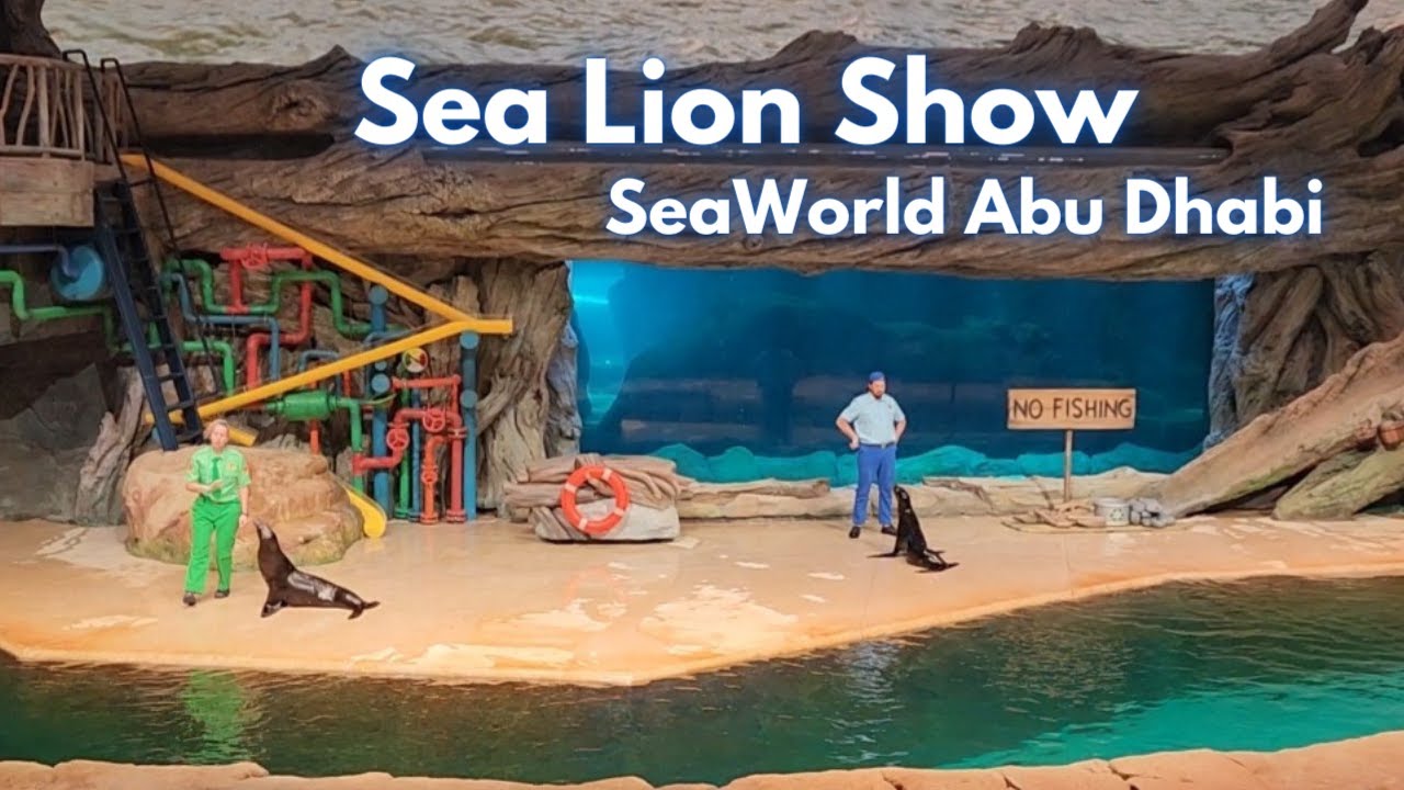 SeaWorld Abu Dhabi Sea Lion Show | Sea Lion Show at SeaWorld Yas Island Abu Dhabi