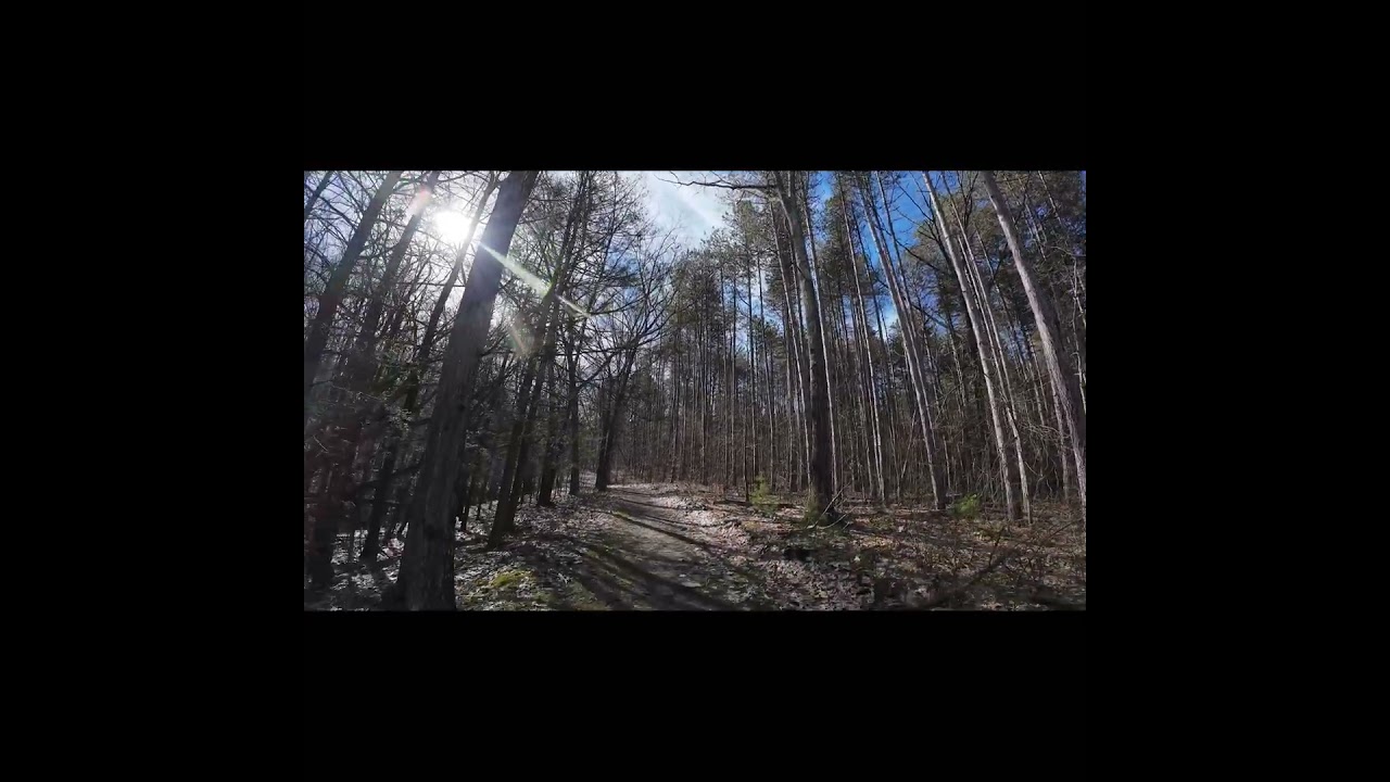FOREST MOUNTAIN HIKE 4K STREAM WOODS