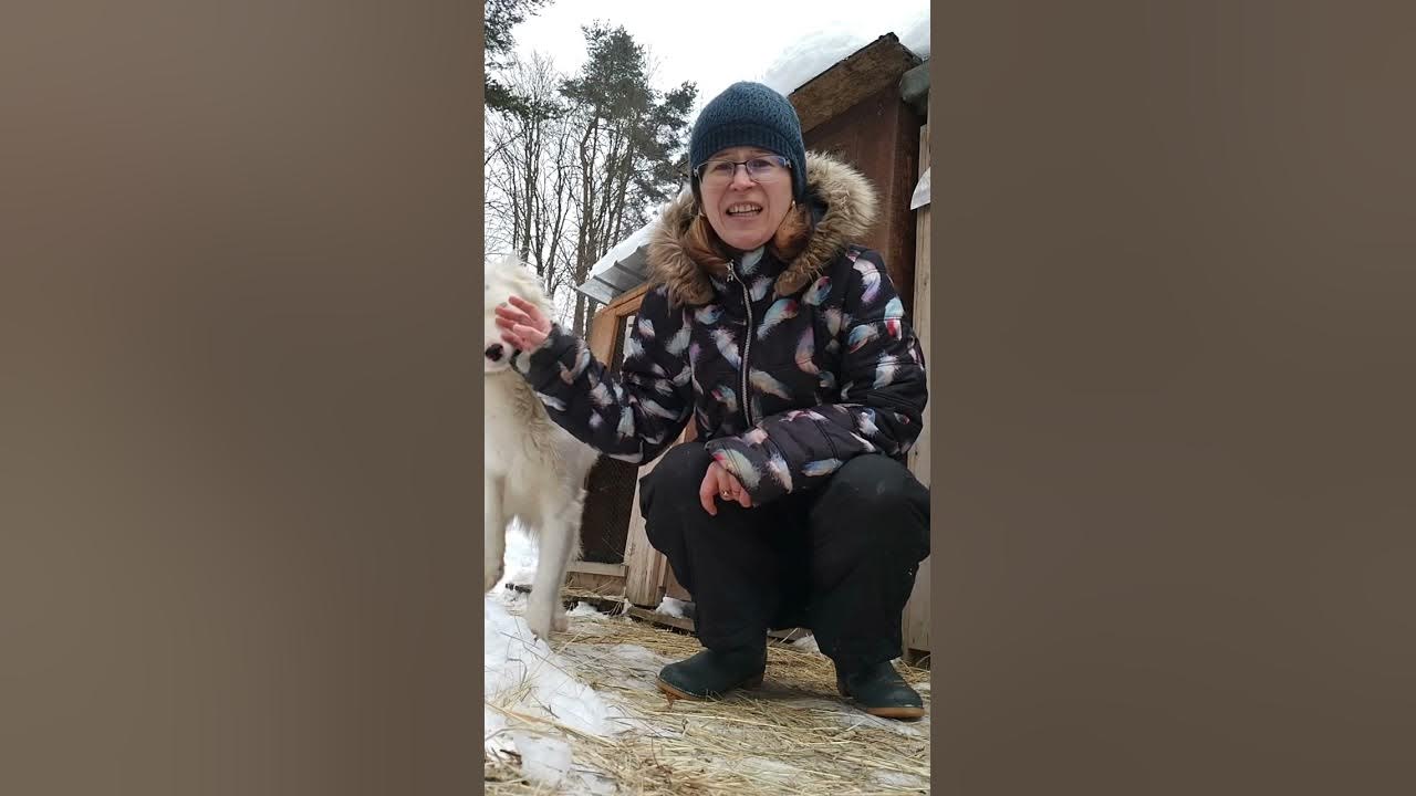 Králik ako rozoznať samčeka od samičky? Rabbit- male or female? #