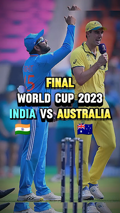 world cup 2023 || india vs australia final #cricket #shorts #short #worldcup #viral