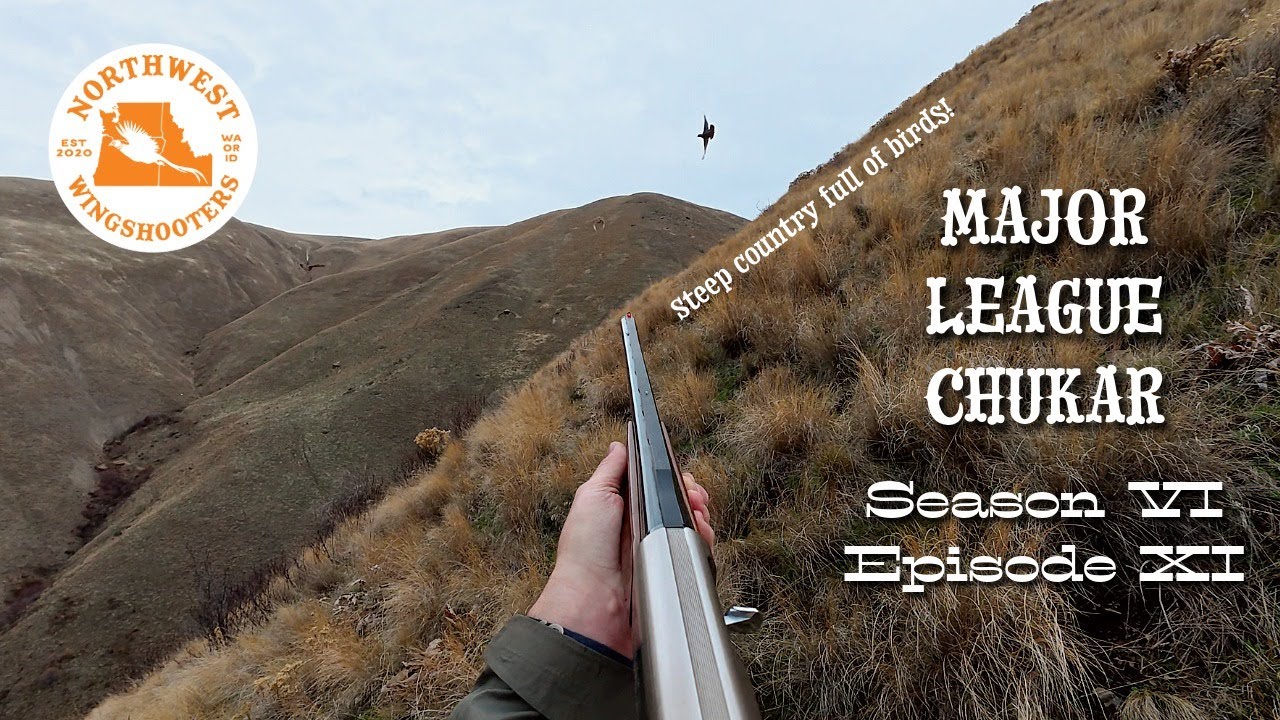 MAJOR LEAGUE CHUKAR - Крутая местность, полная птиц! - 6 сезон, 11 серия