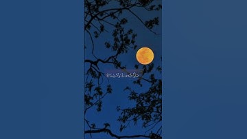 آيات من سورة الأحزاب بصوت الشيخ ياسر الدوسري || #اكسبلور #قرآن