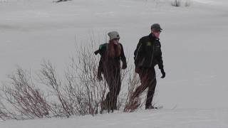 Snowshoeing at Gold Run Nordic Center
