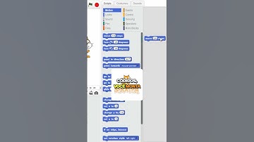 A linguagem de programação ideal para iniciantes