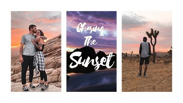 Joshua tree during sunset // shot on iPhone