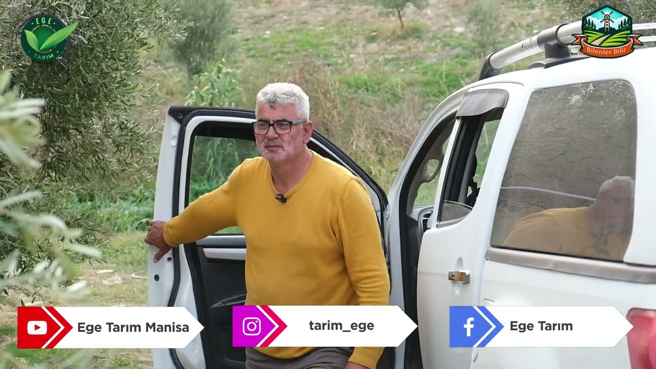 2016’dan Bugüne: Değişmeyen Bereket, Değişmeyen Güven. Zeytinde Her Yıl Bereket