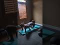 Yoga wheel work and inspiration ✨️ #nevillegoddard #yogajourney #yogashorts #yogawheel #6lissqueen