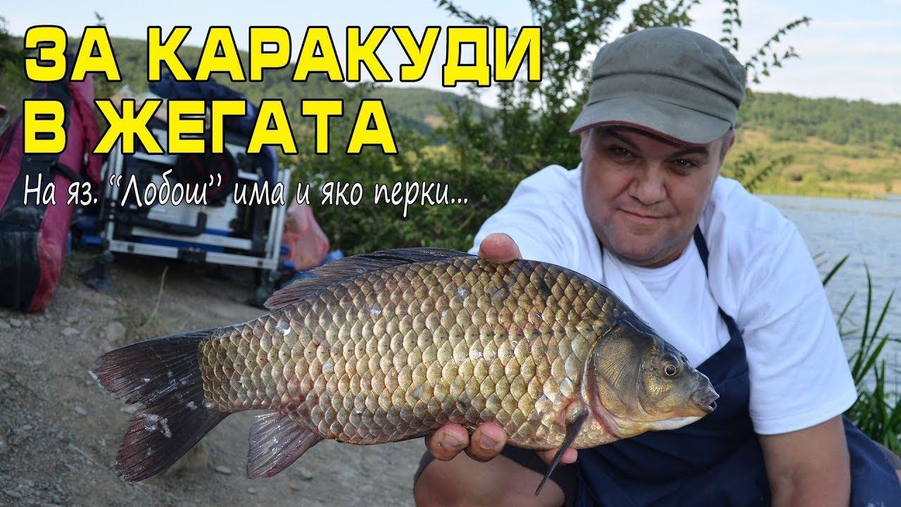 За каракуди в жегата (на язовир Лобош има яко 