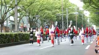 帯屋町筋J 2015原宿表参道元氣祭り・スーパーよさこい(表参道アベニュー)