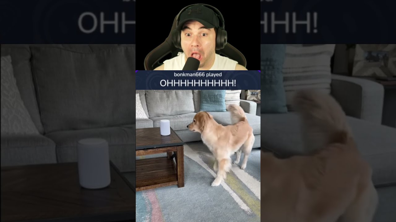 Try Not To Laugh My Viewers Have Perfect Timing 