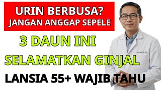 Dokter Kaget! 3 Daun Ajaib Ini Bisa Selamatkan GINJAL Lansia