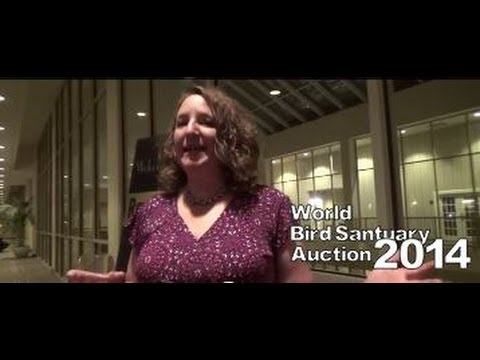 St. Louis, Fundraiser, Fund-Raising Auctioneer, World Bird Sanctuary Auction