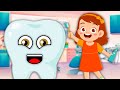 The Teeth Song For Kids! | KLT Anatomy